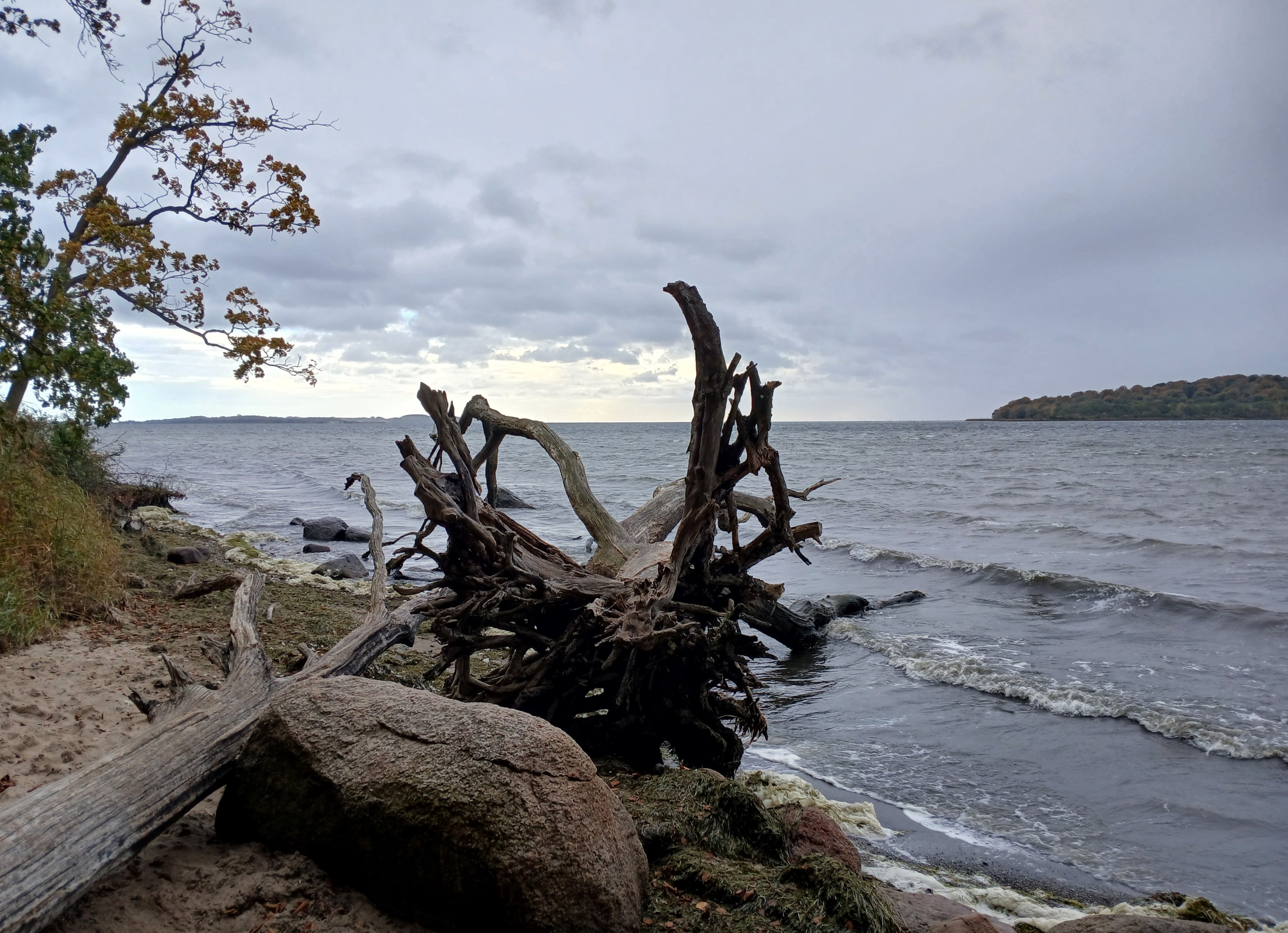 Man wandert am Rande niedriger Felsen dicht am Wasser auf einem Fußpfad …  - Naturschutzgebiet Goor – Muglitz