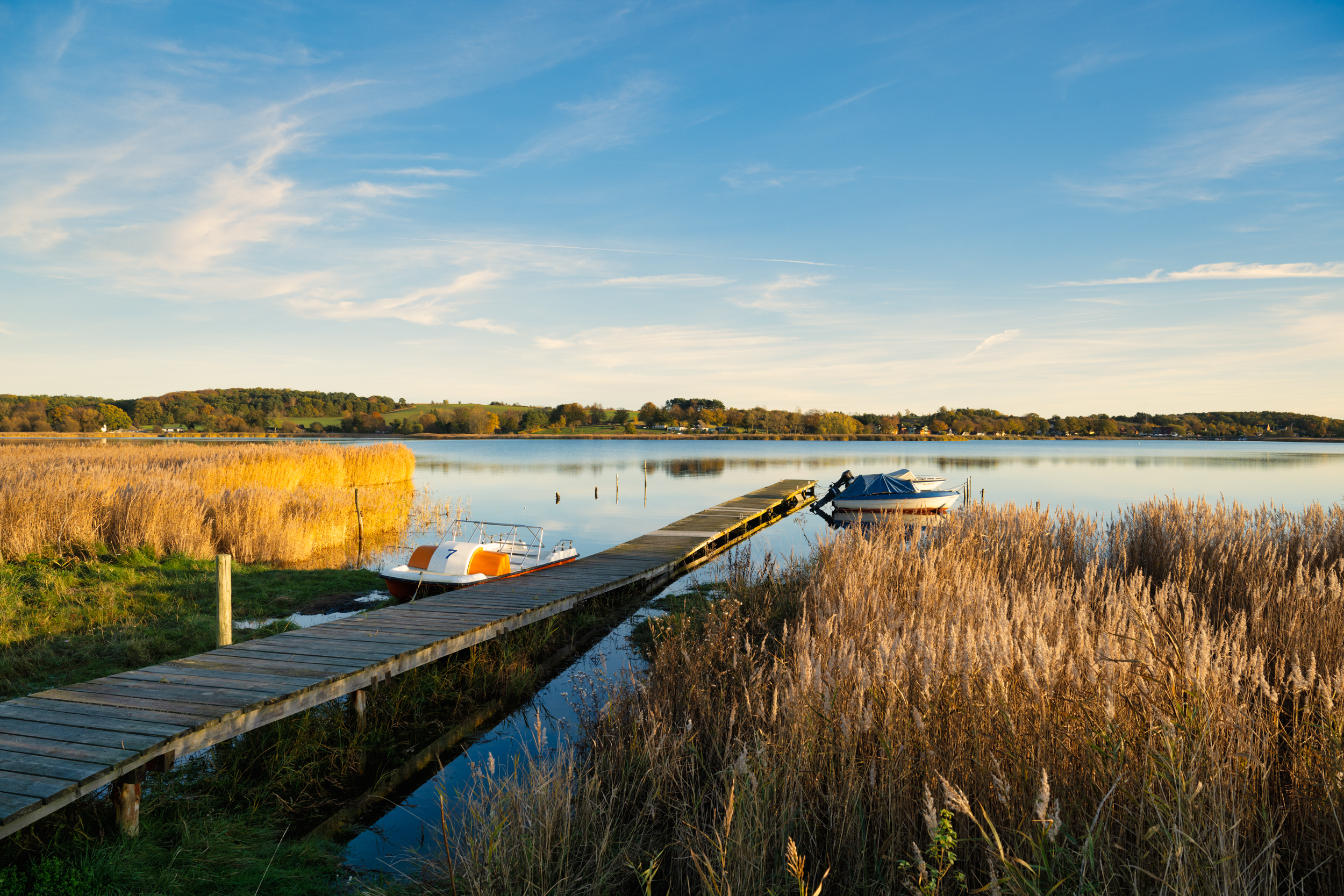 Wanderung: Neuensiener See & Boddenlandschaft