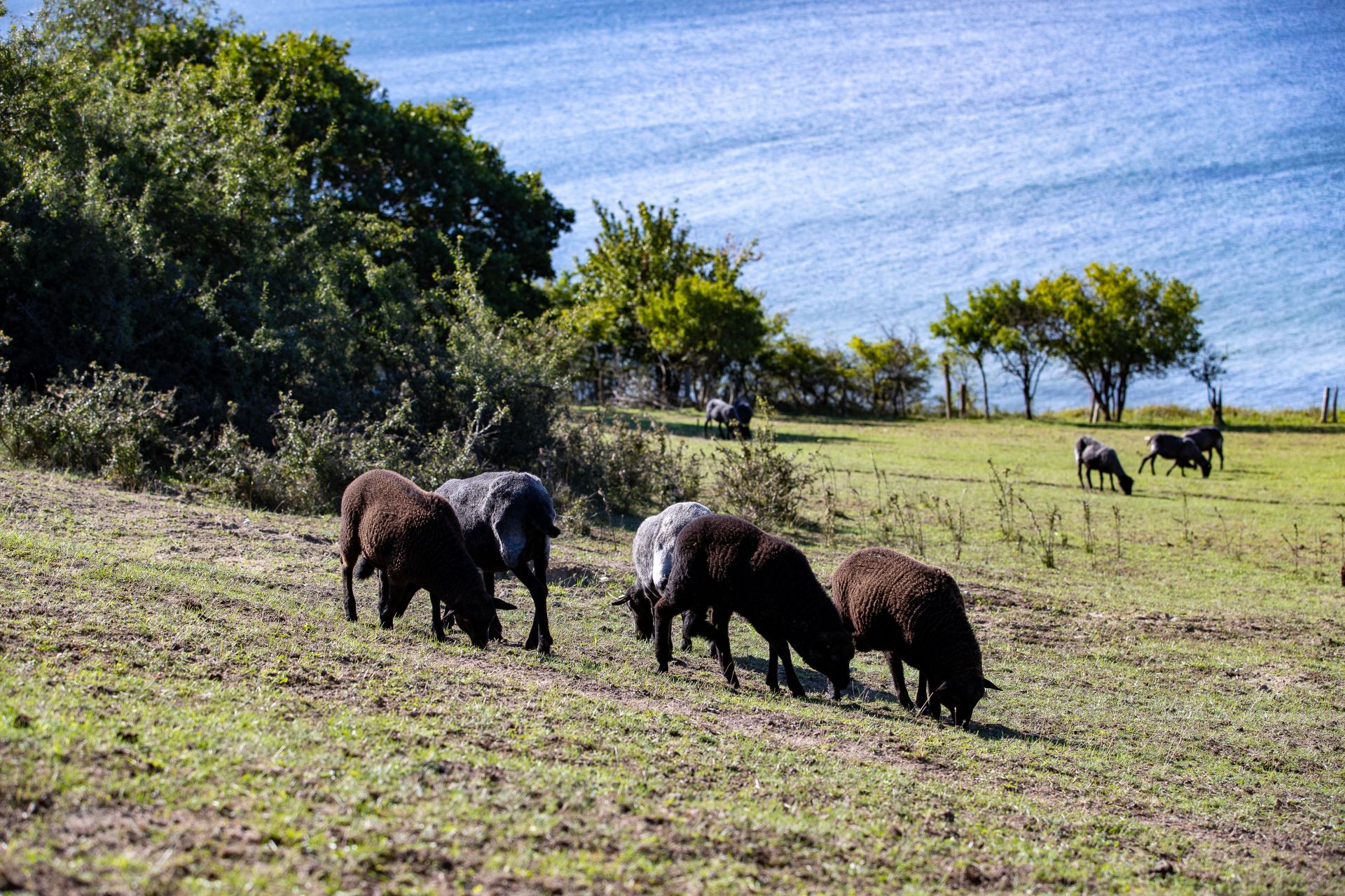 Autorenlesung & regionale Esskultur *