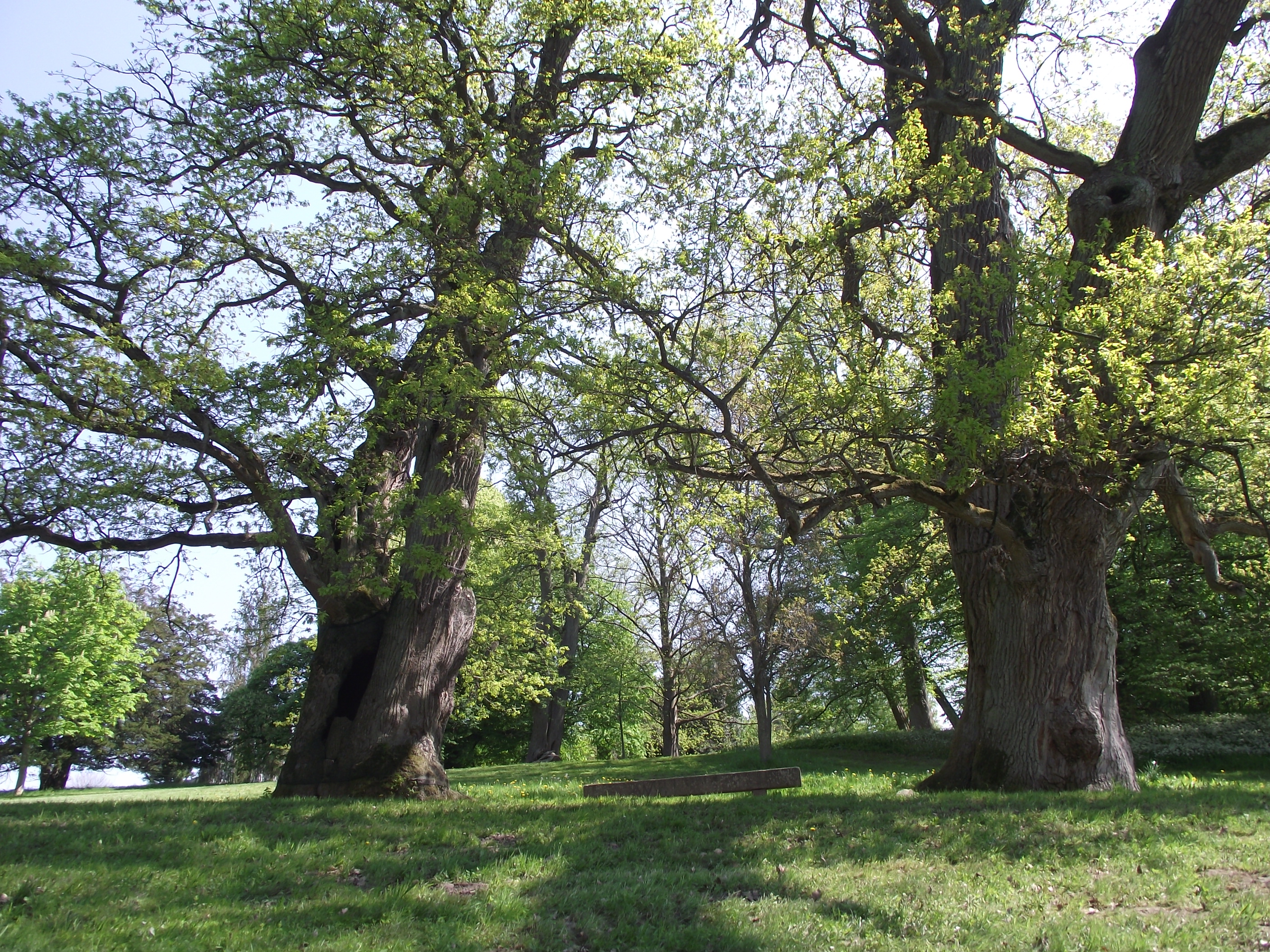 Führung - Aufbau von Stadt und Park zu Putbus