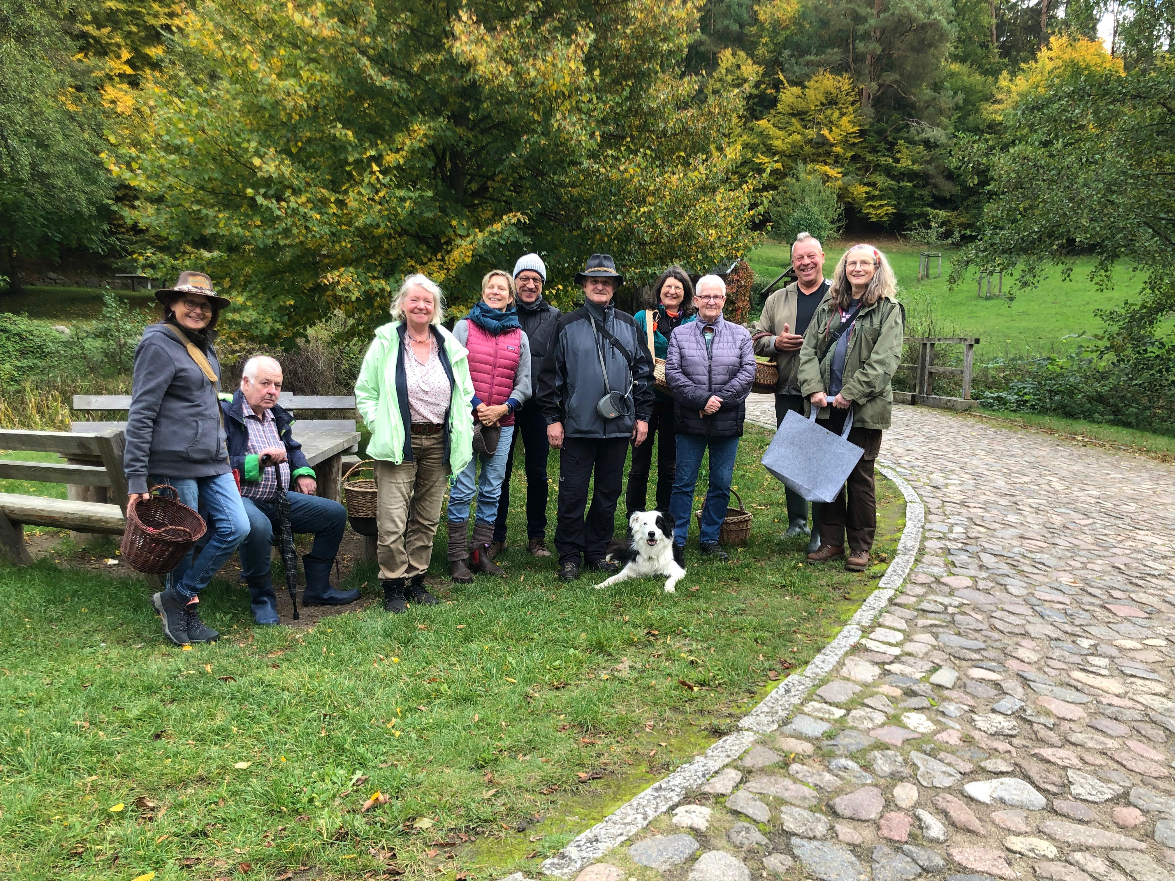 Von der Spore zum Superfood: Einsteigerlehrgang enthüllt die Welt der Pilze