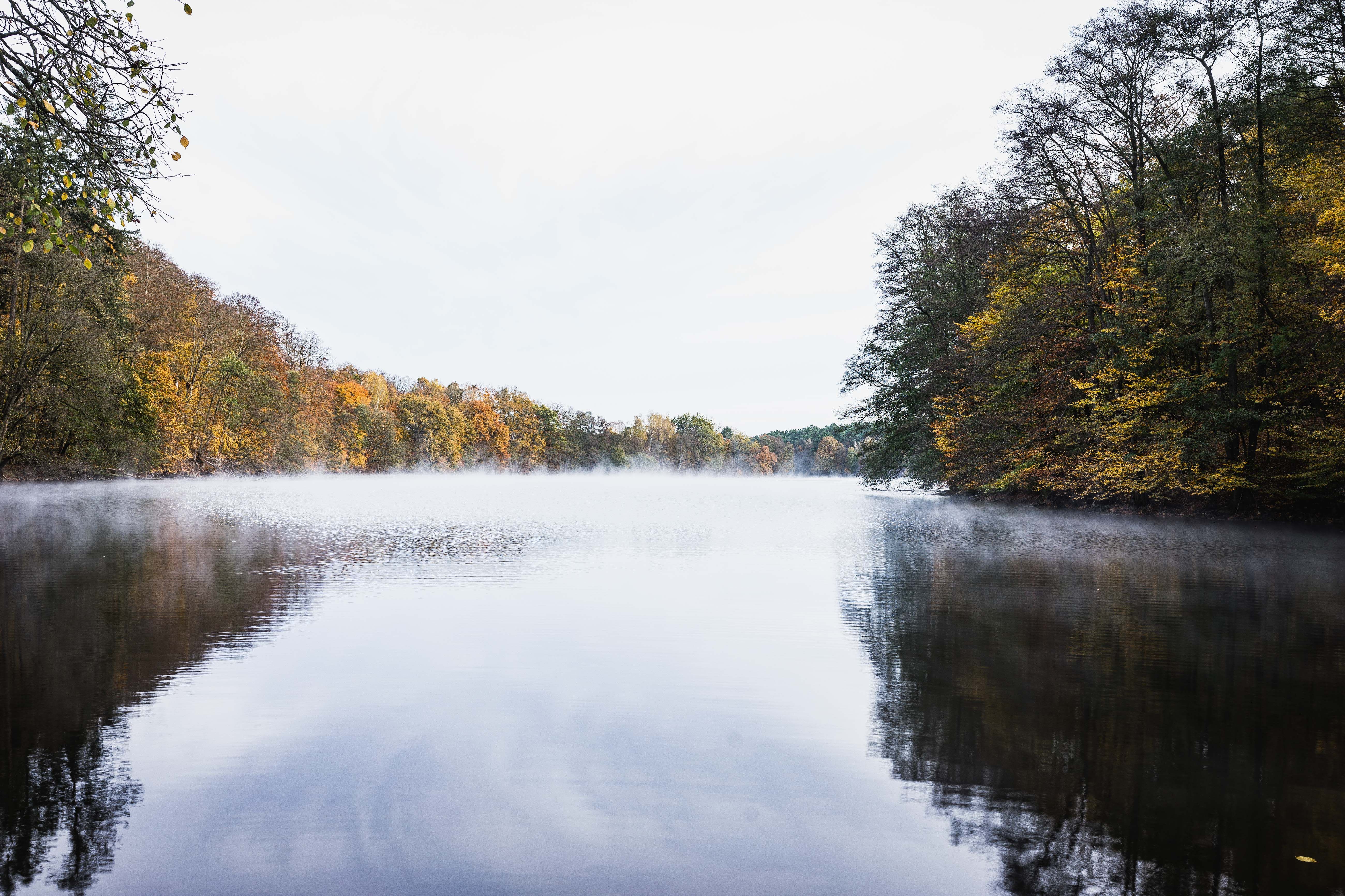 Ausbildung zum PilzCoach 2026