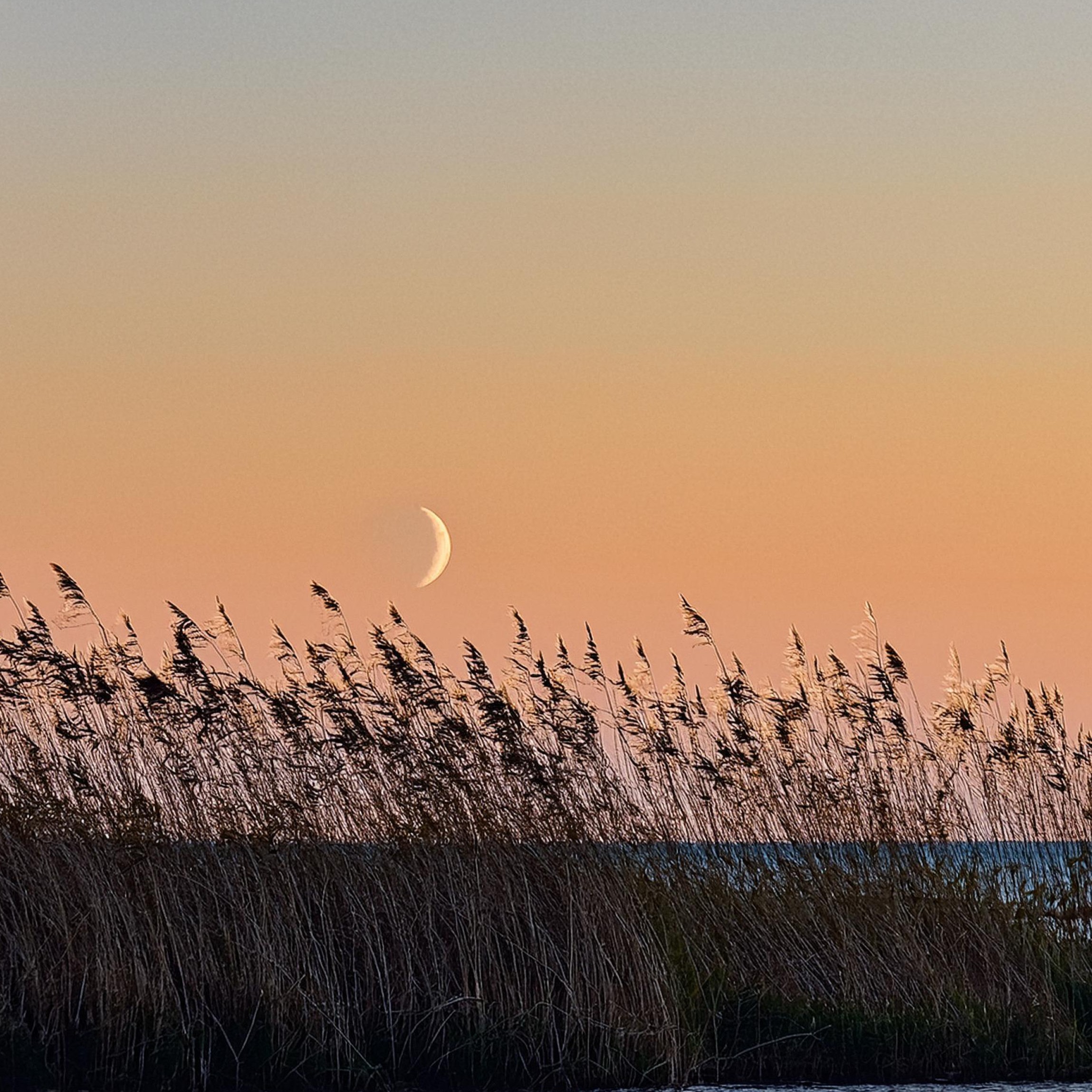 New moon hike