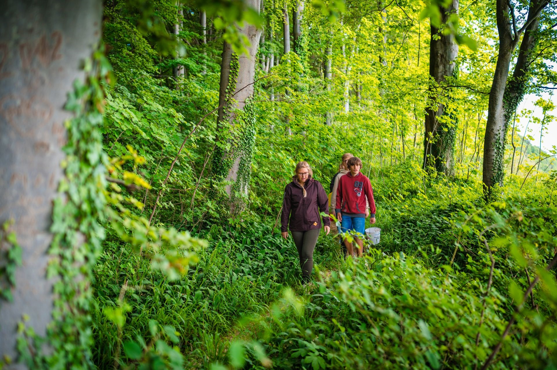 Rund um Göhren und das Nordperd