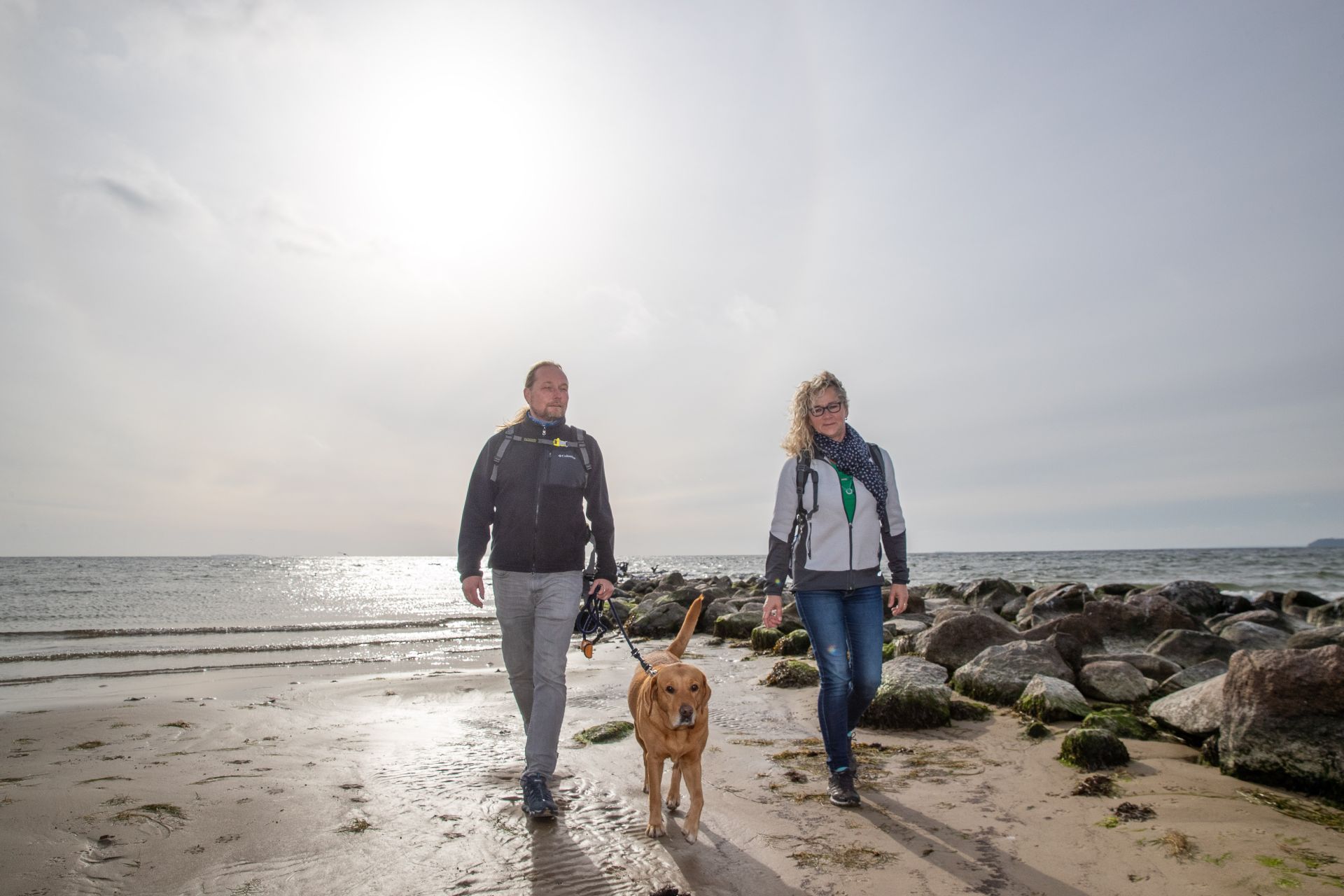 Social Walk mit Hund