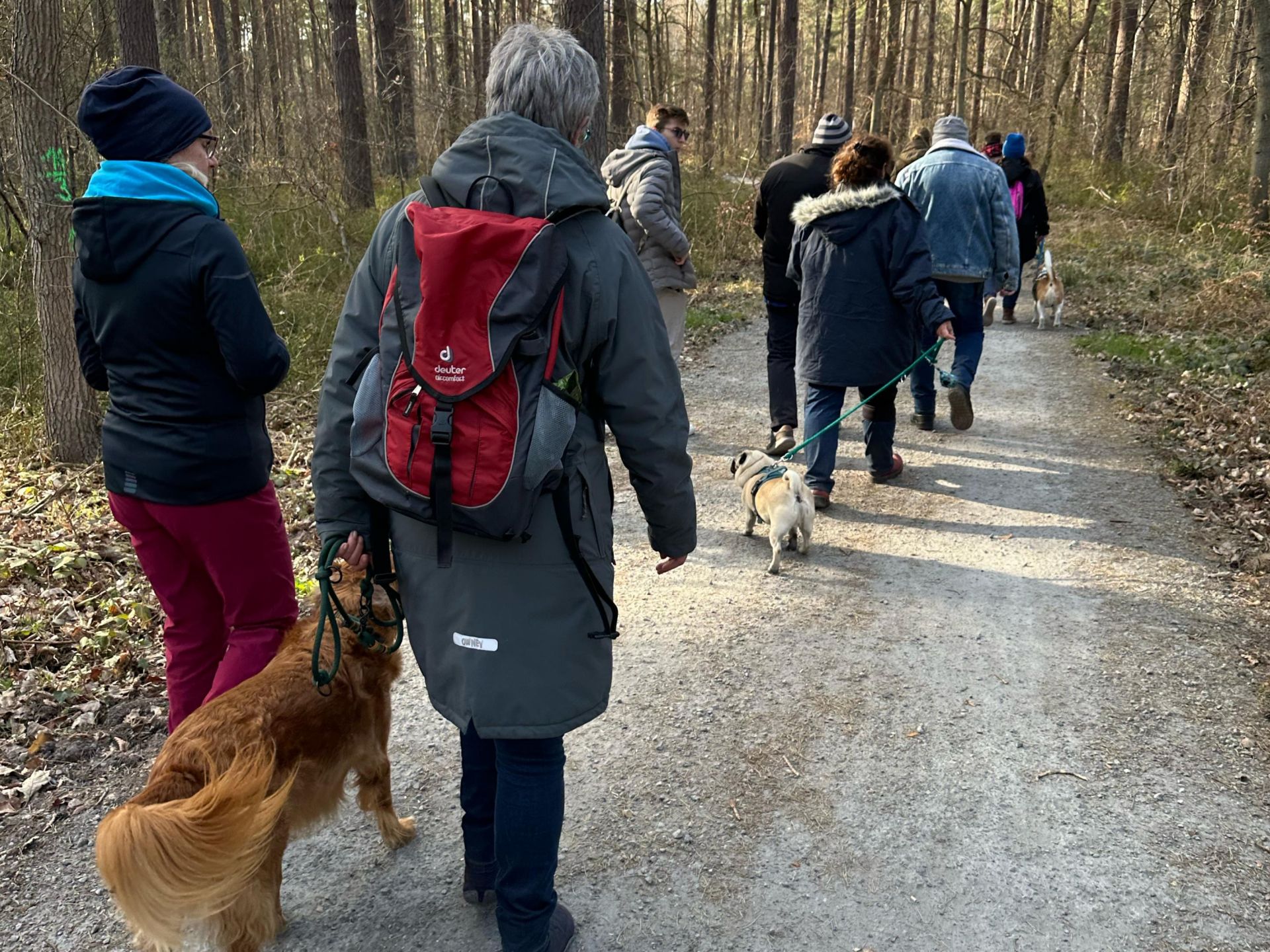 Social Walk mit Hund*