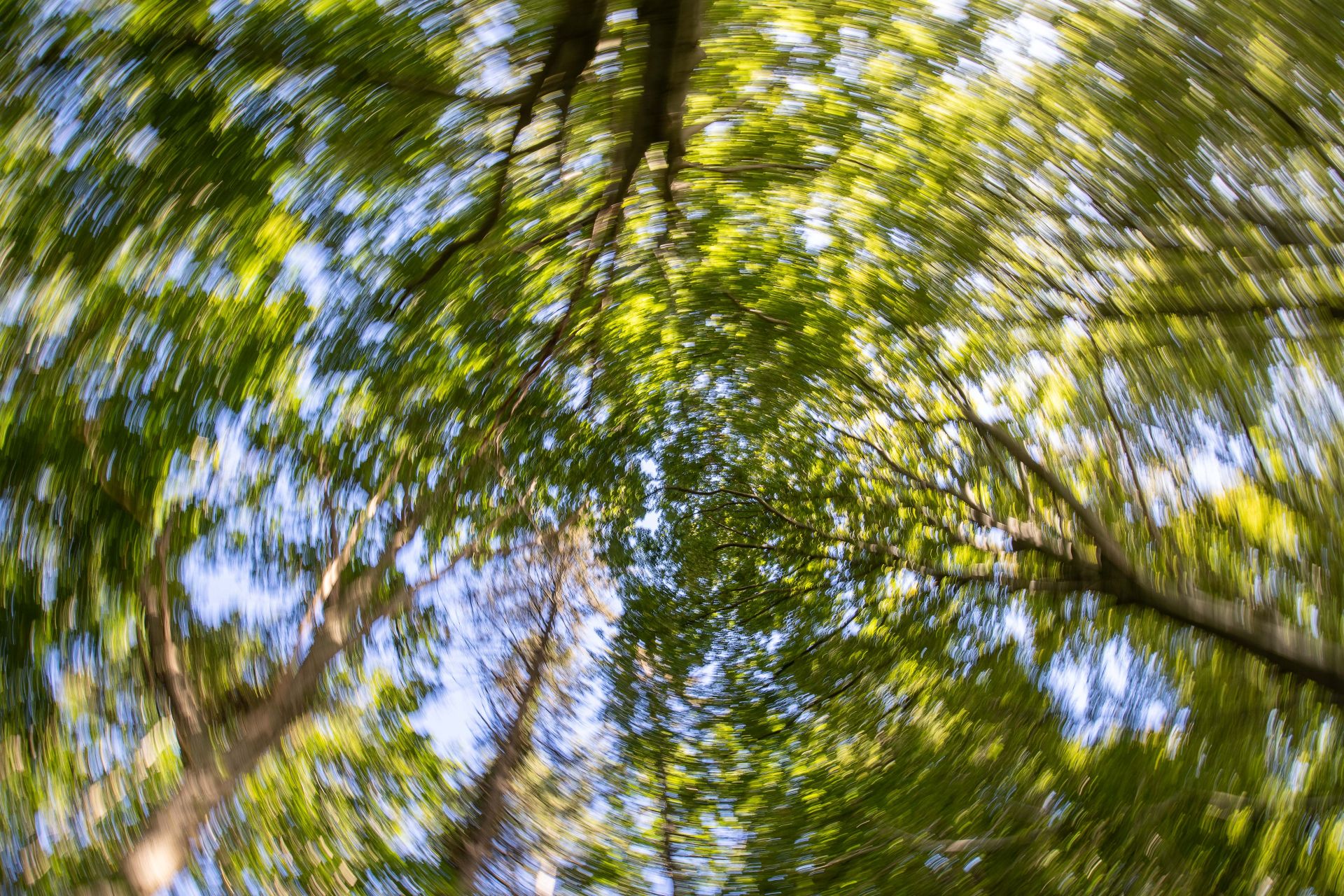 Kneippwanderung rund um das Ostseebad Göhren