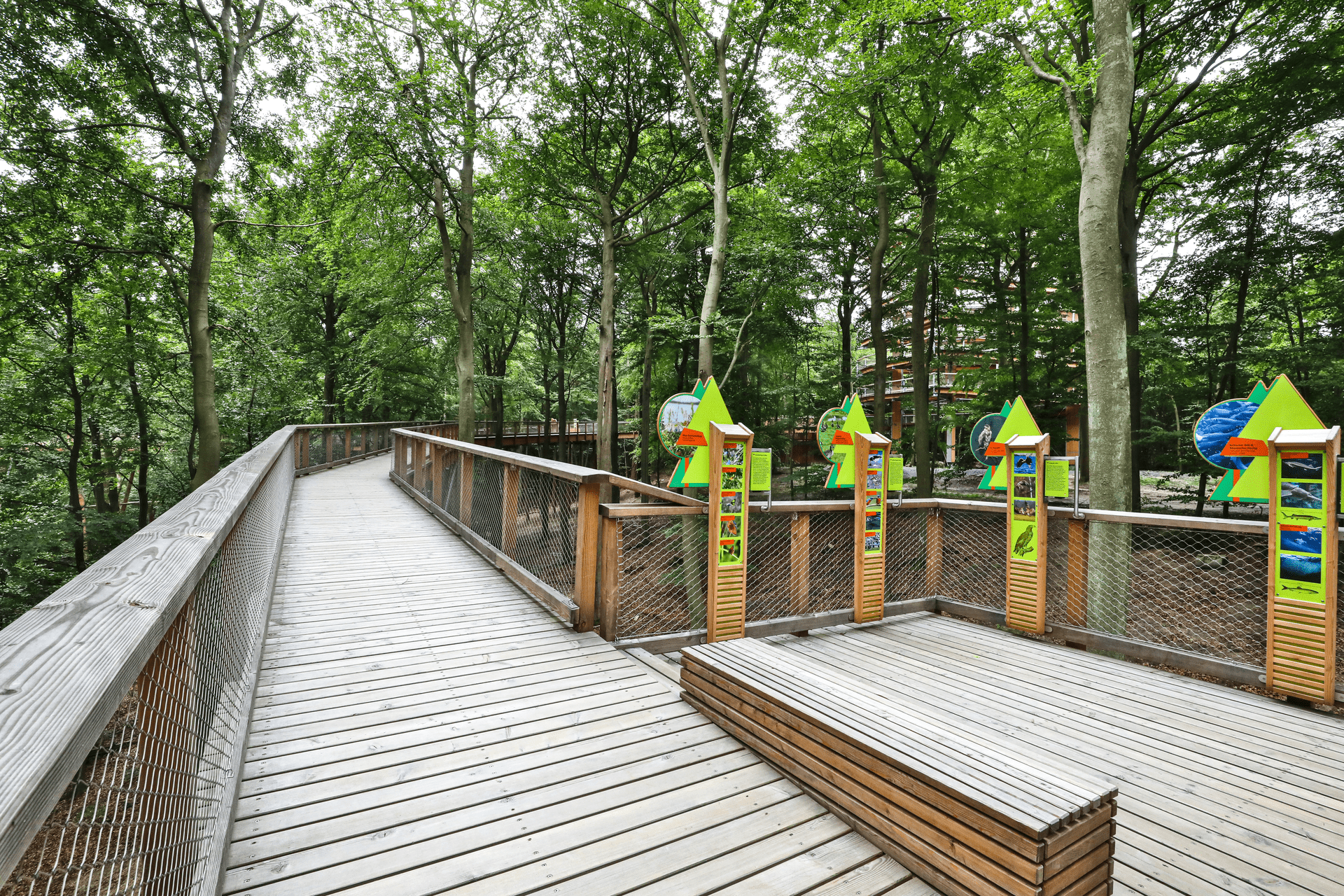 Baumwipfelpfad Usedom