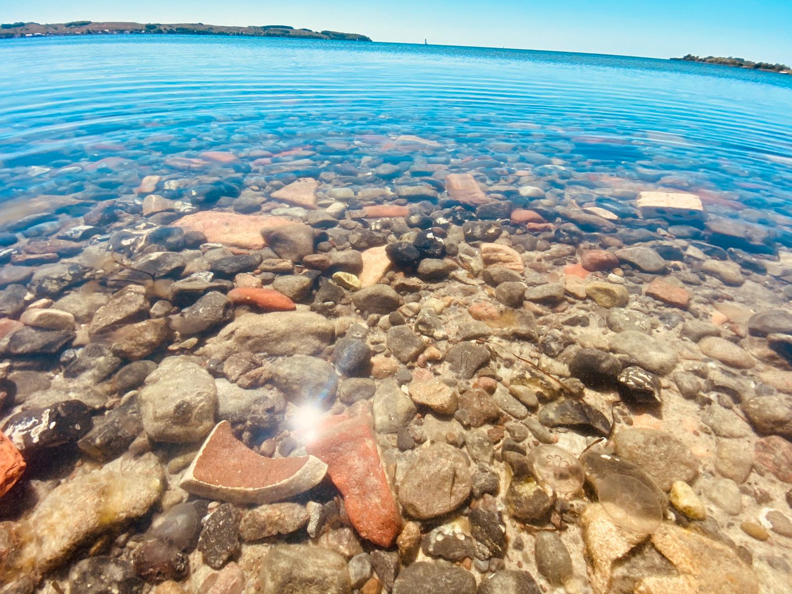 Der Ostsee auf den Grund  gehen