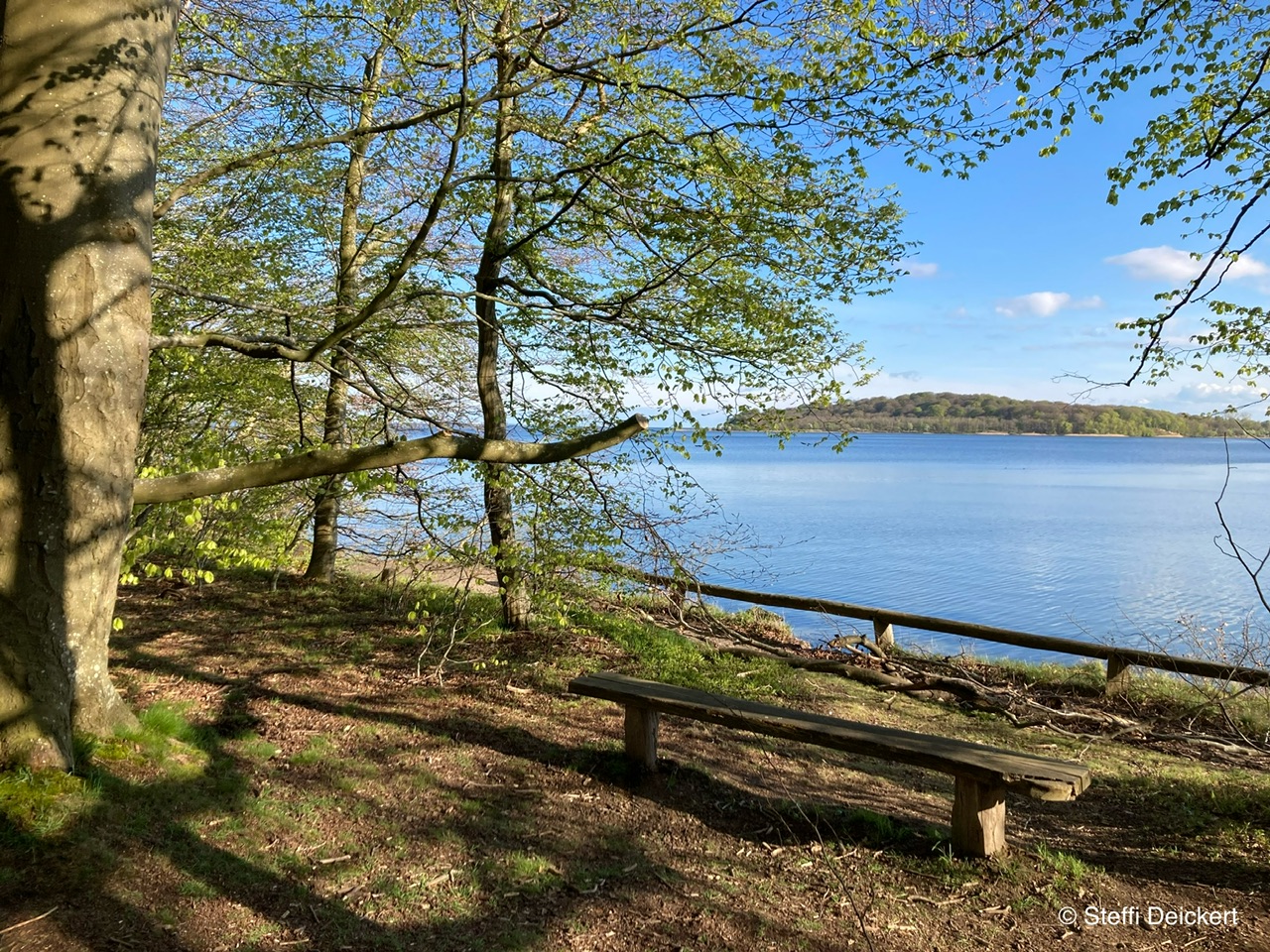 Wanderfrühling - Geführte Wanderung auf dem Pfad der Muße & Erkenntnis im Goor-Wald