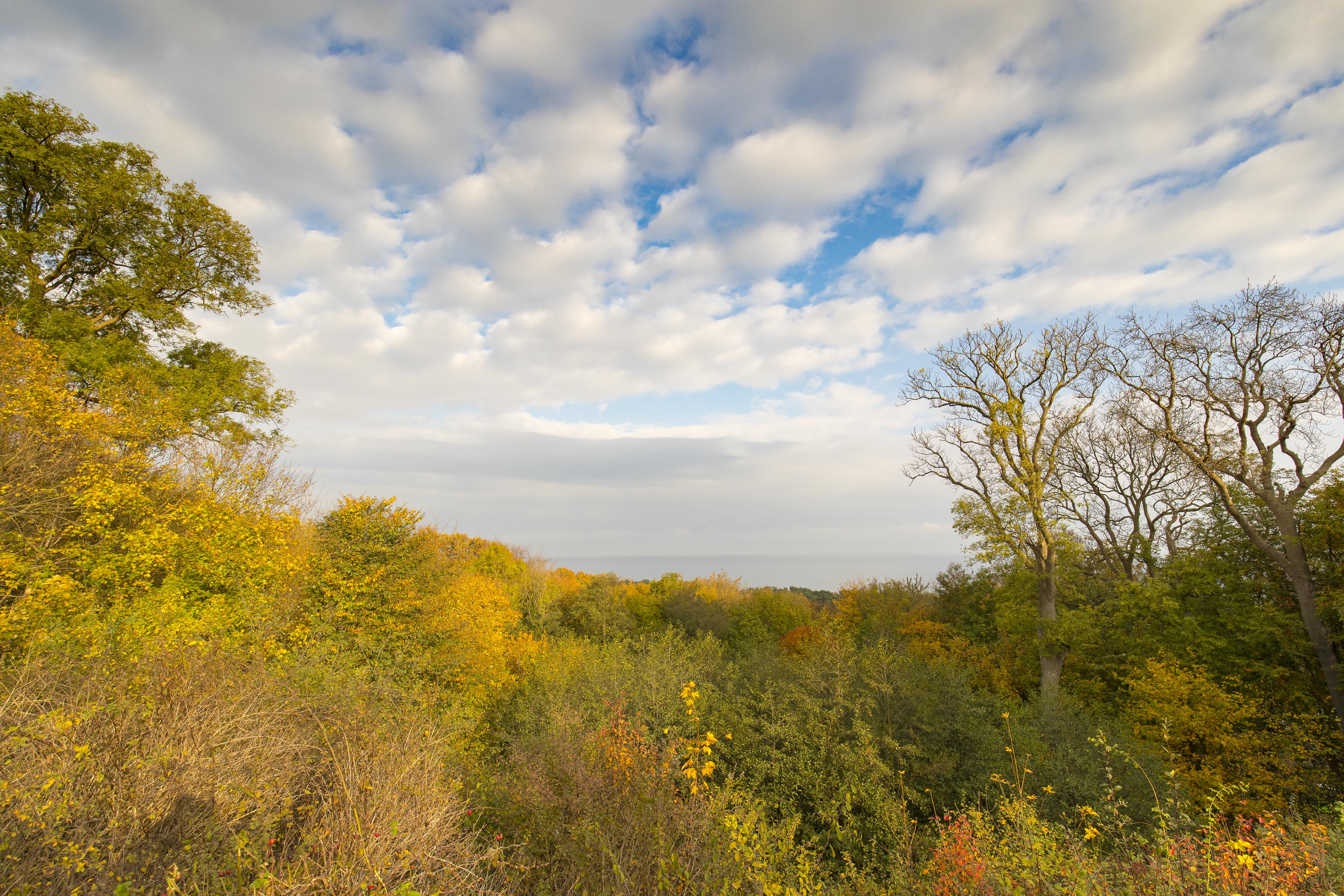Gemütlicher Herbstspaziergang