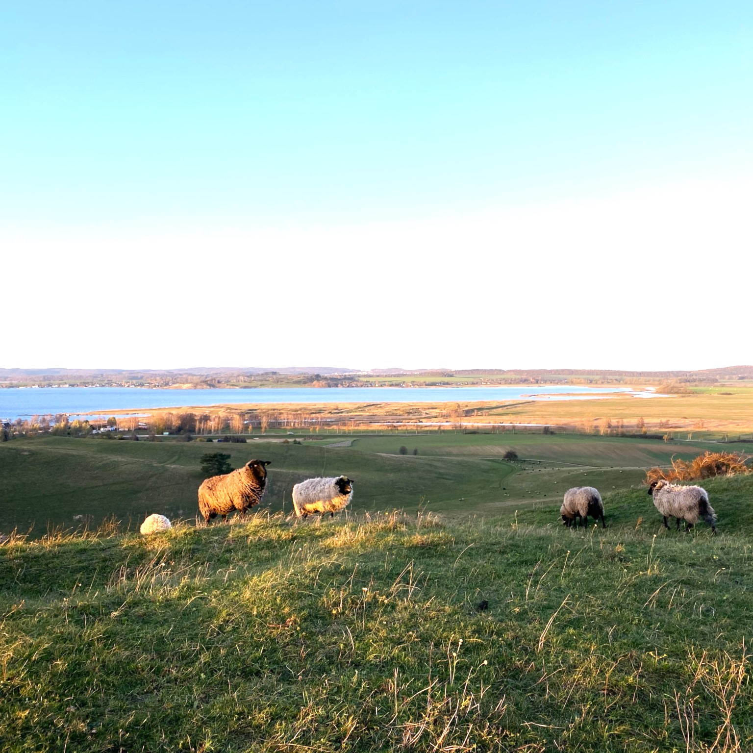 Rare and significant habitats