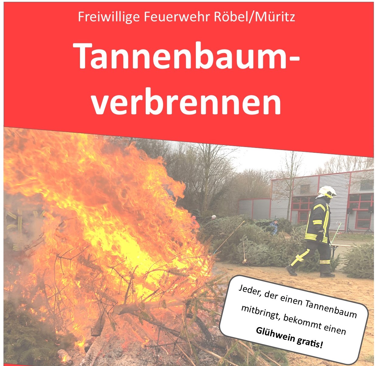 Tannenbaumverbennen 