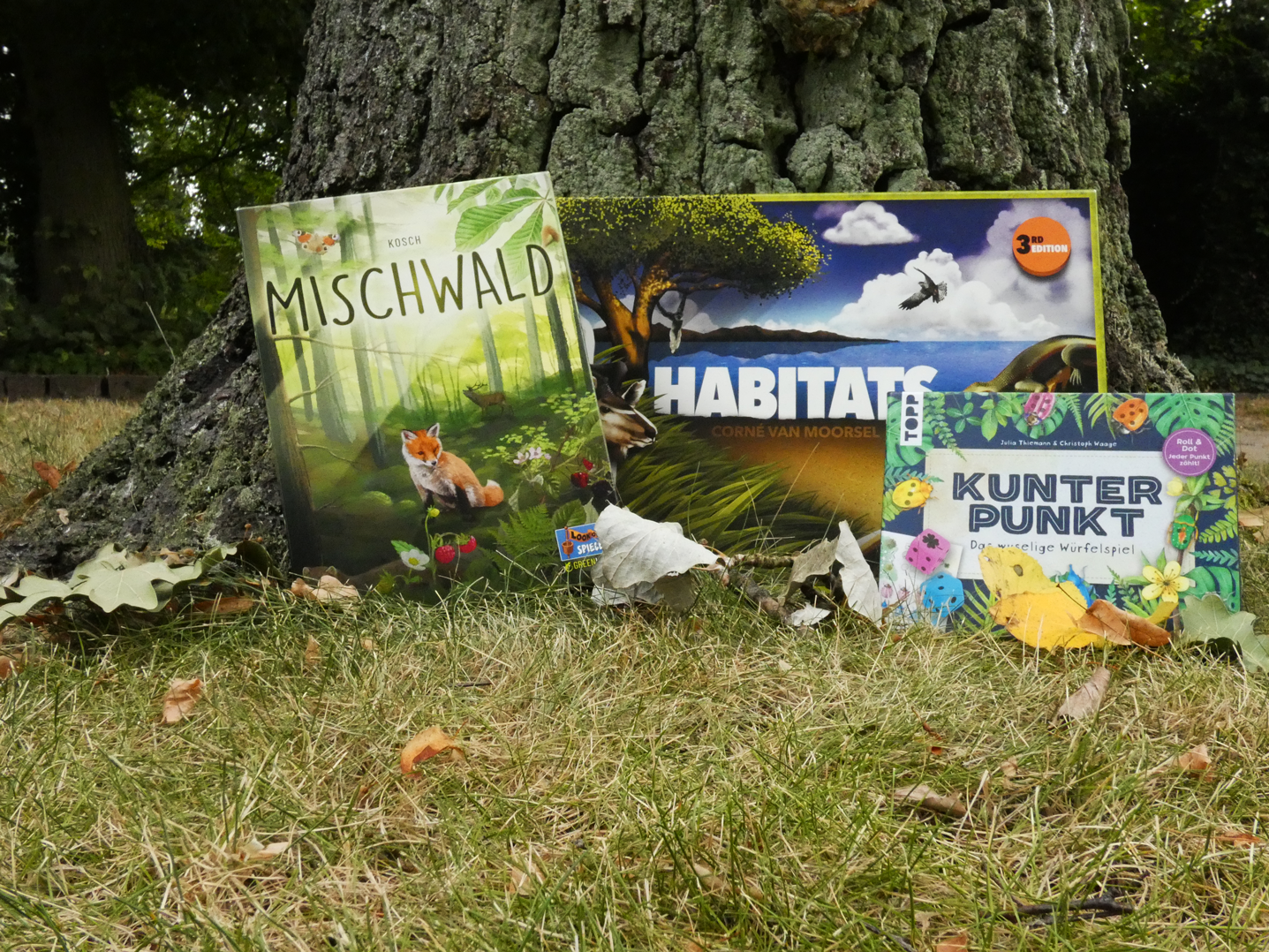 Ran an die Würfel, rein in die Natur!