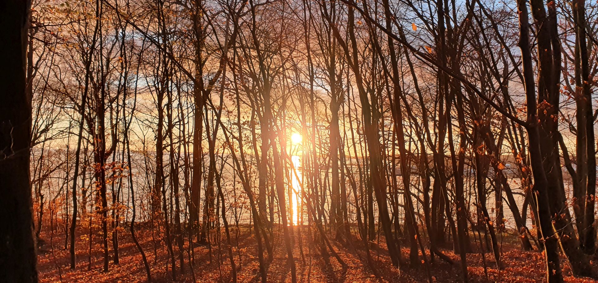 Wald erleben mit allen Sinnen