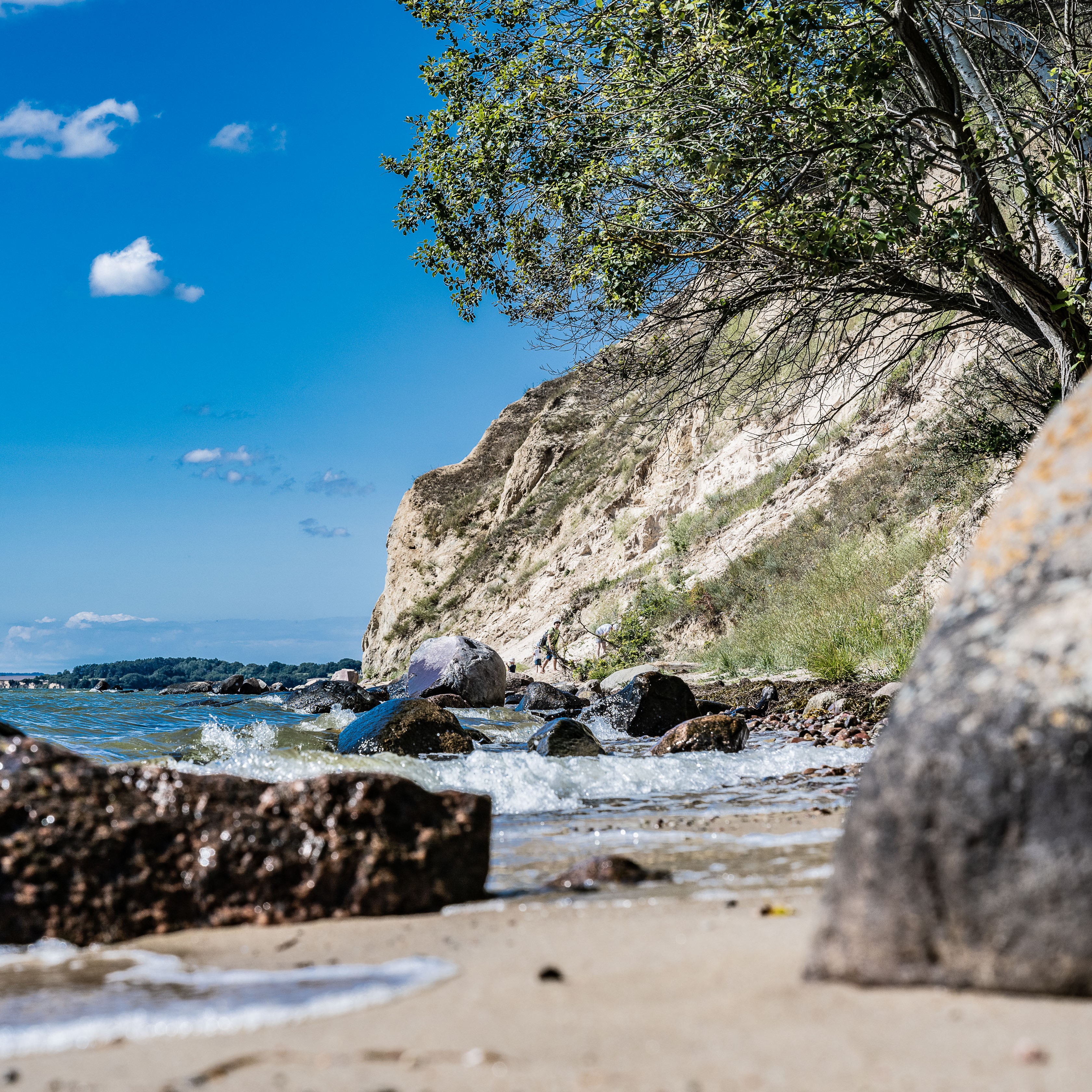 Das Naturschutzgebiet Zicker Höft