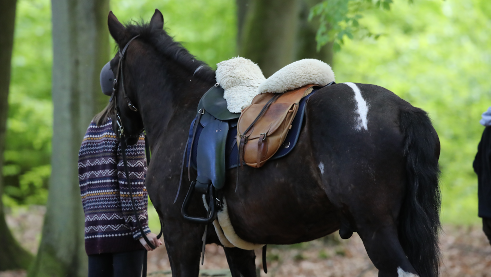 2 Tage Reiten zu den Ivenacker Eichen