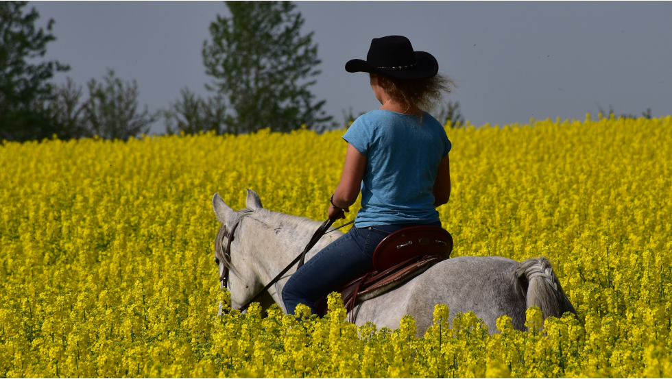 3 Tage reiten von Gutshaus zu Schloss