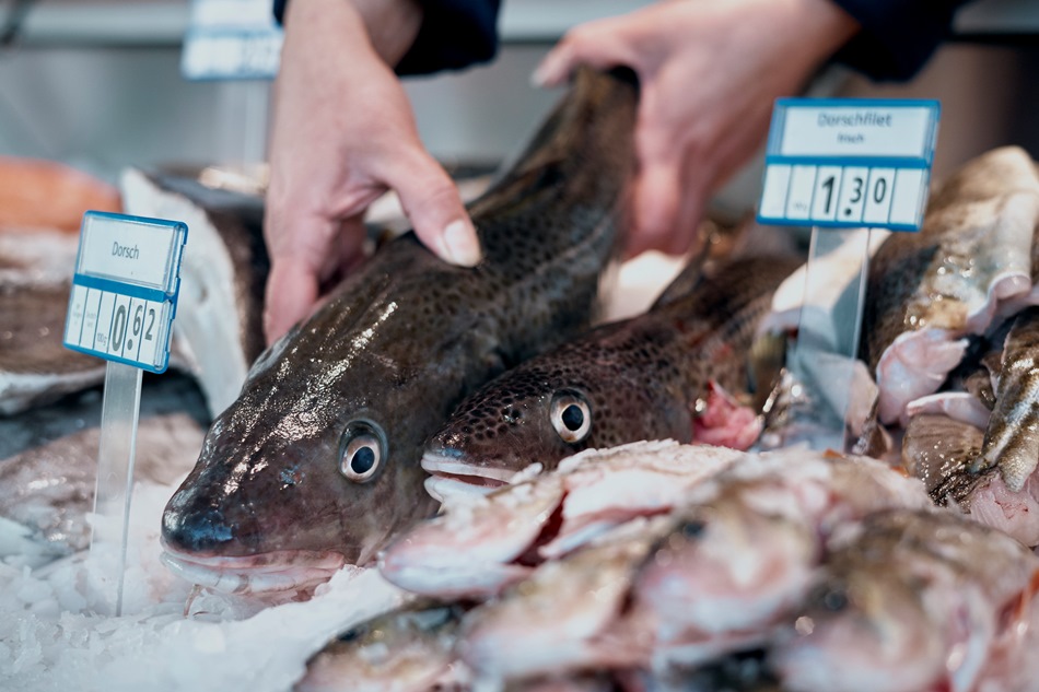 Fish store at the harbor 