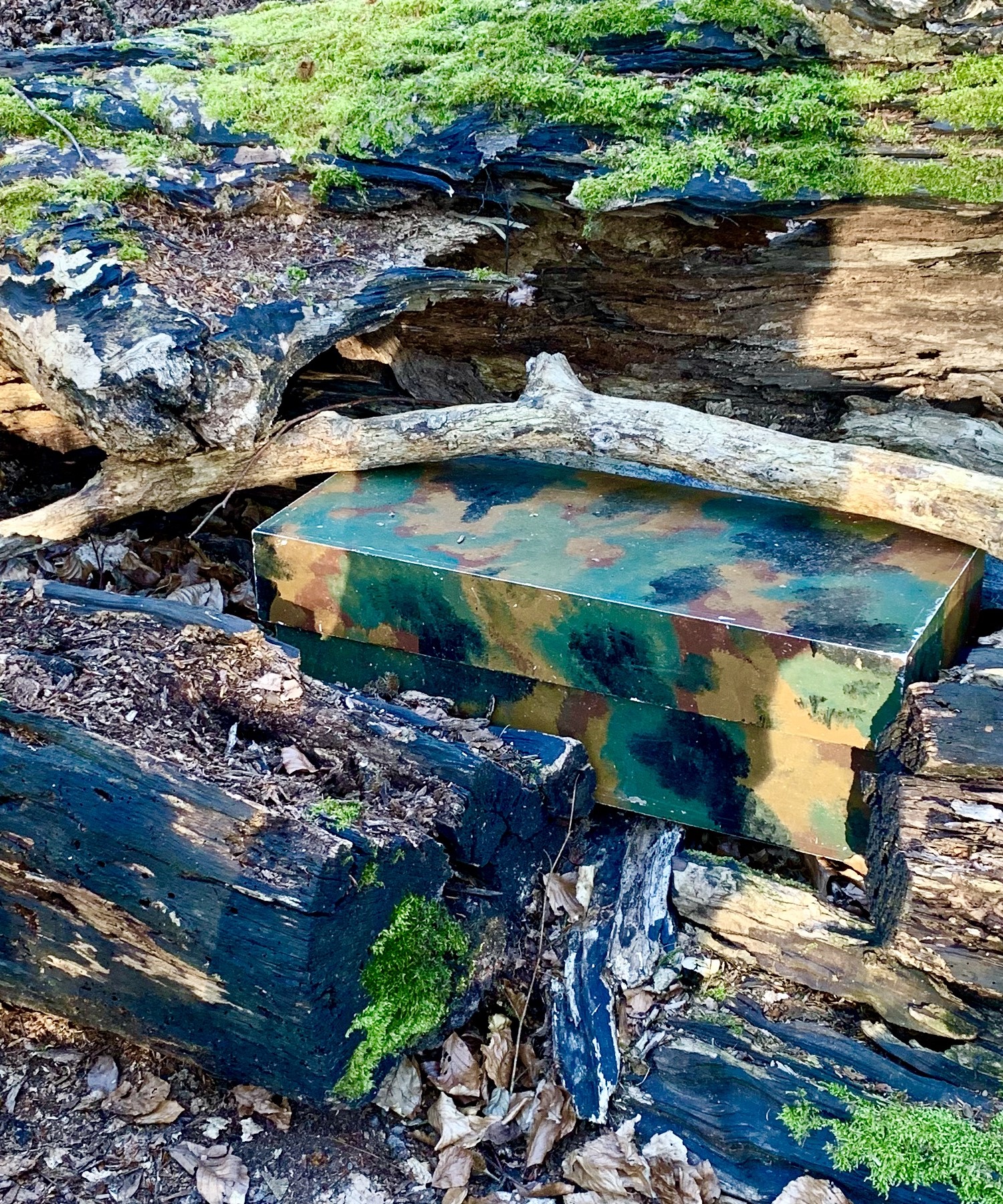 Geheimnisvolle Schatzsuche