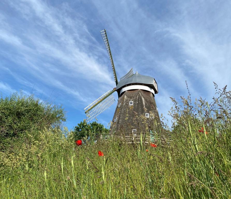 „Sie haben Armeen aus Gummibärchen…“ -  Weltkindertag an der Mühle