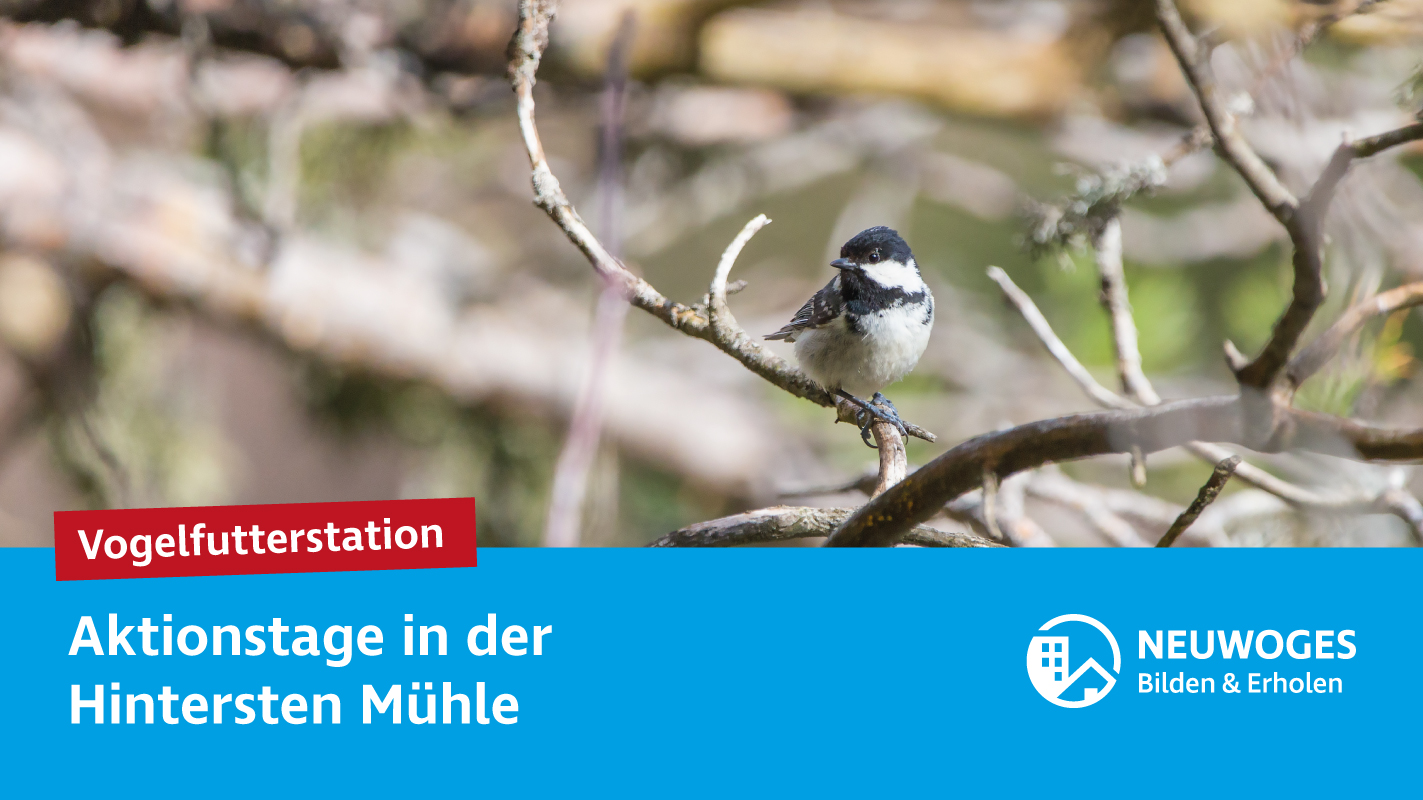 Aktionstag Futterglocken bauen