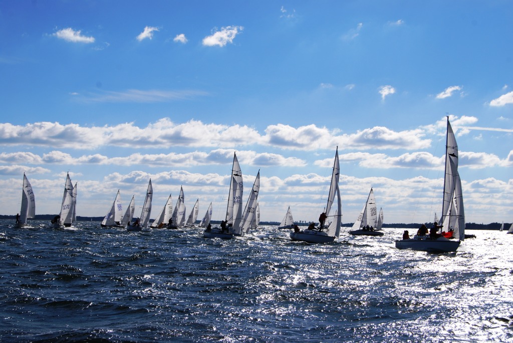 Europameisterschaft Shark 24, Röbel/Müritz