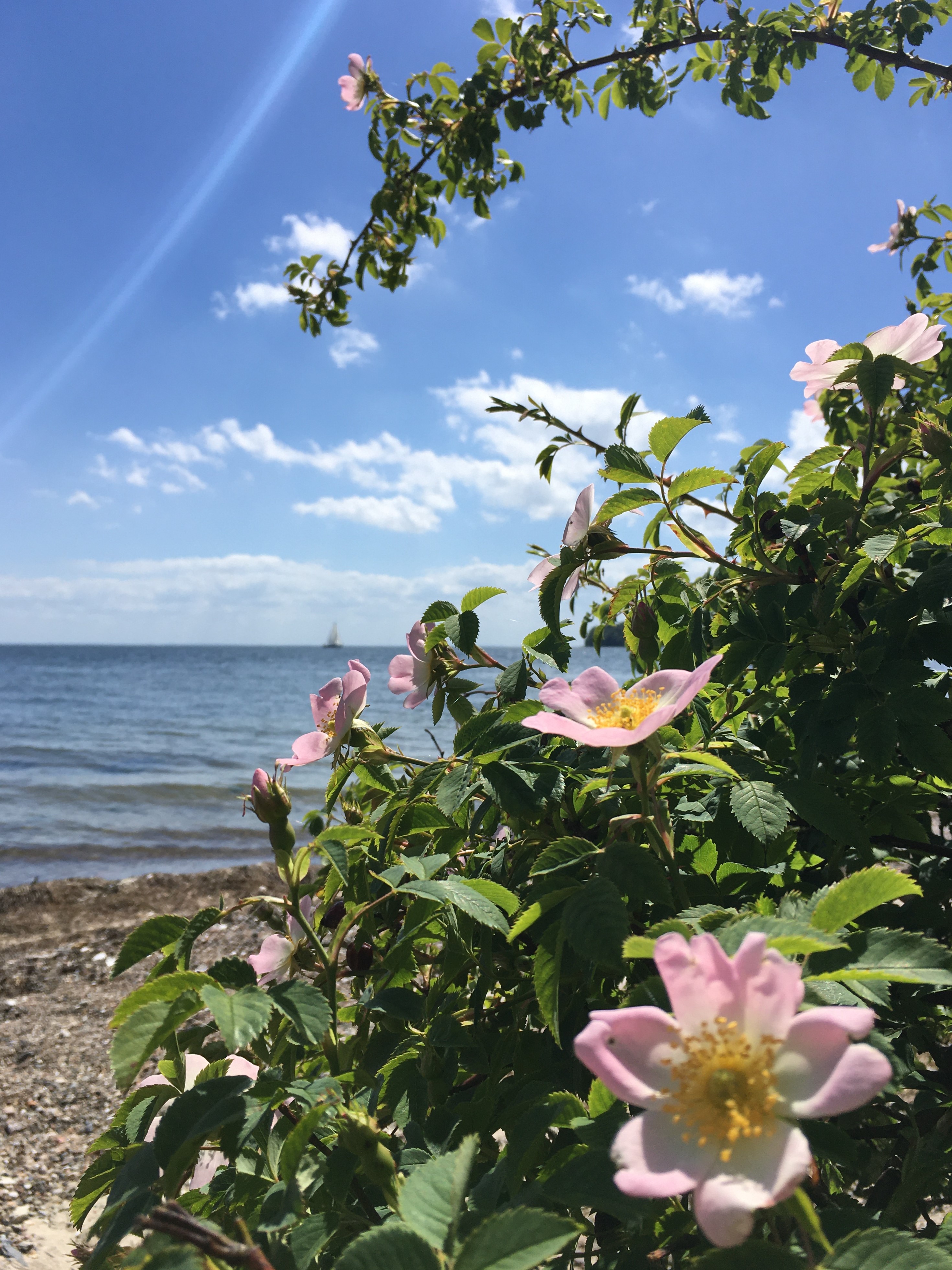 Qigong - Spaziergang