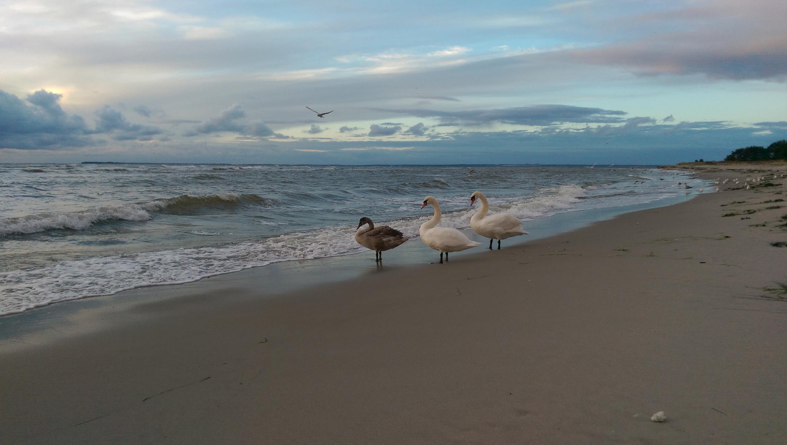 Gehirnjogging und Wandern